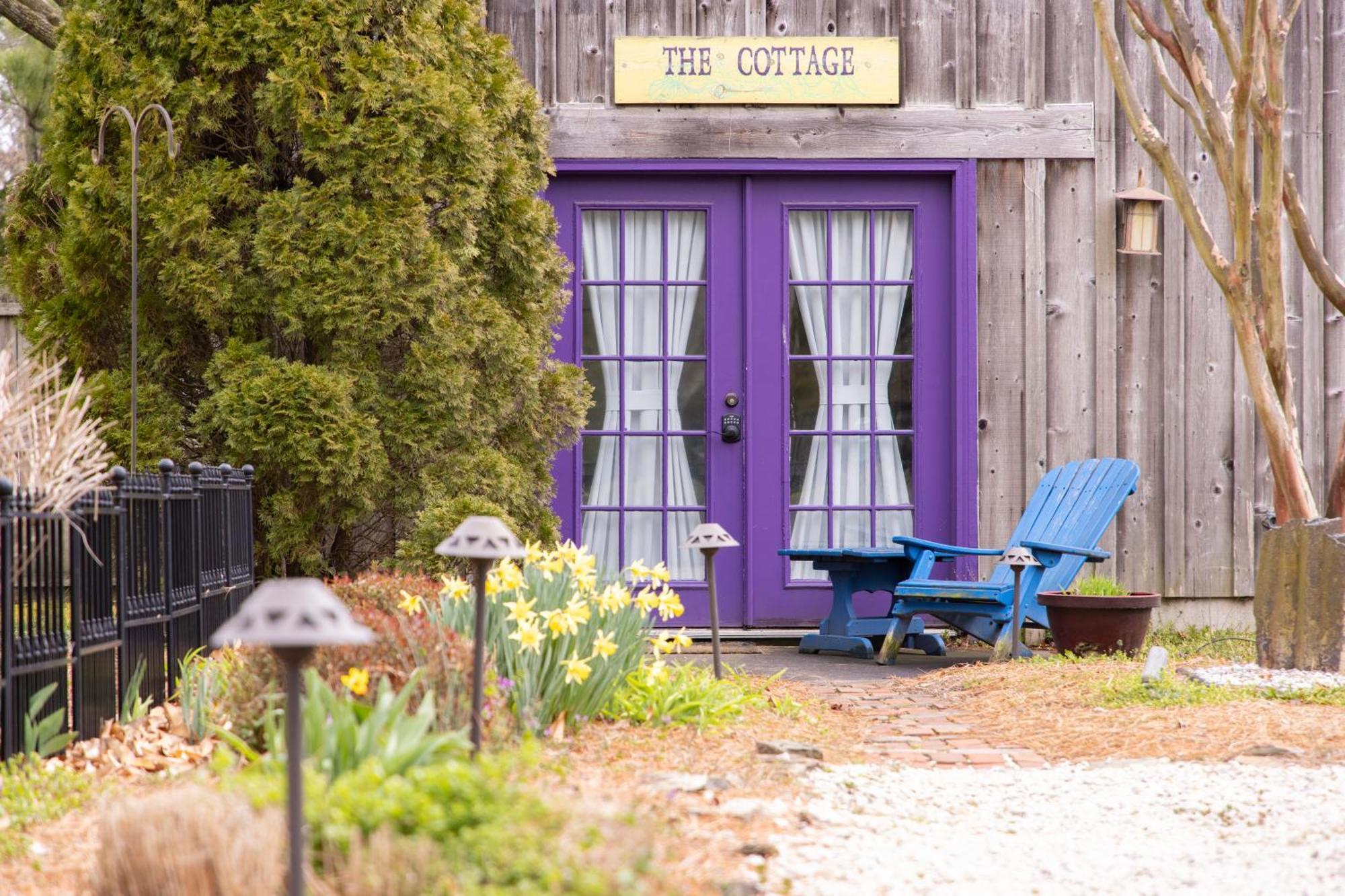 The Homestead B&B Rehoboth Beach Zewnętrze zdjęcie