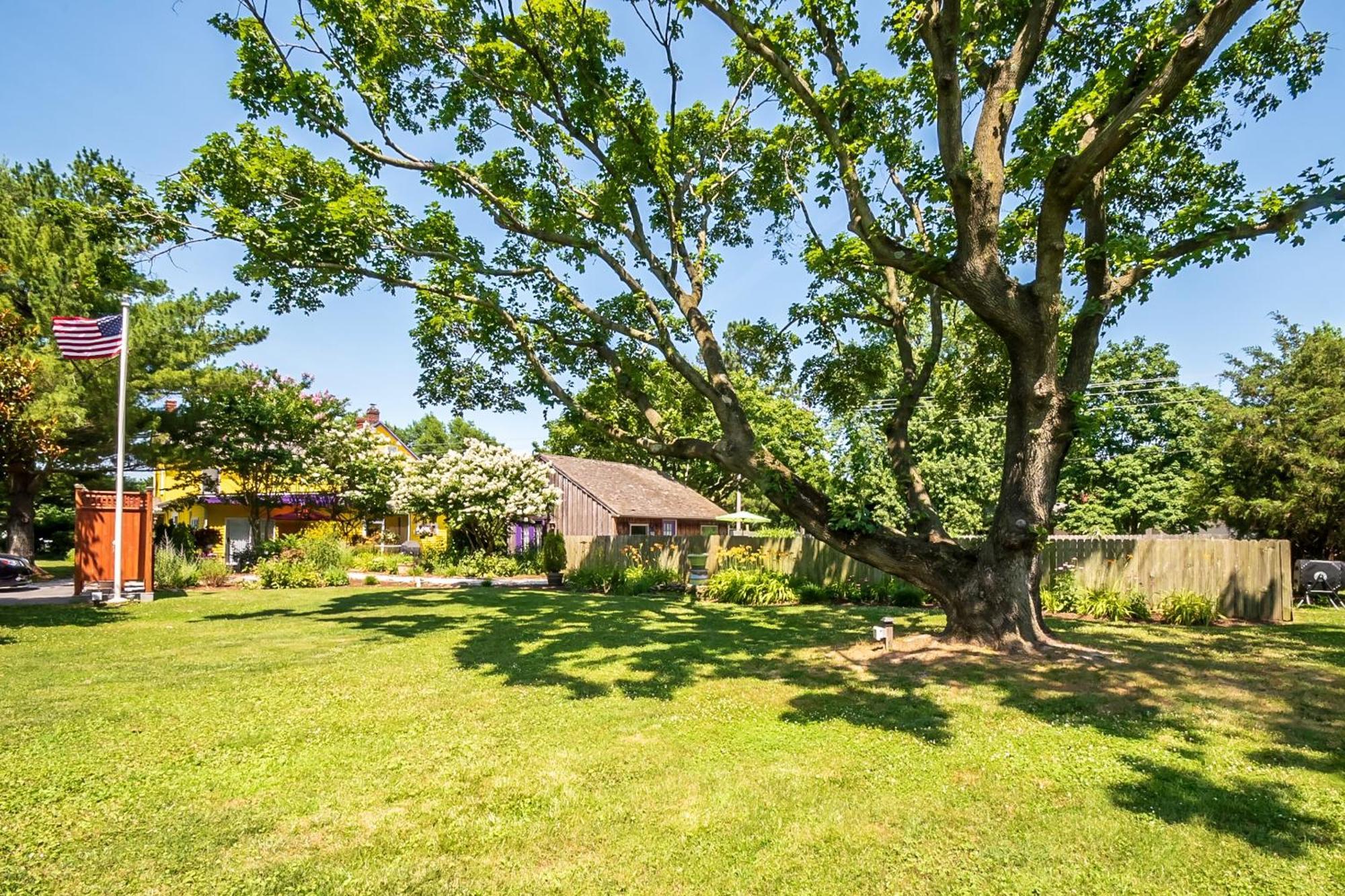 The Homestead B&B Rehoboth Beach Zewnętrze zdjęcie